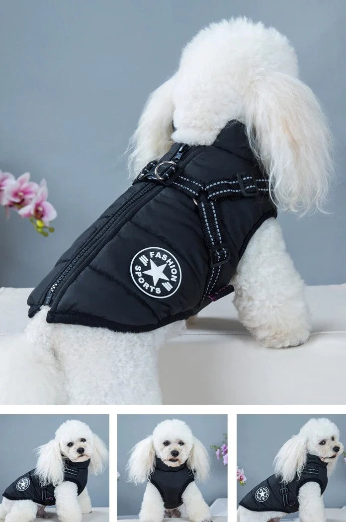 🔥🐕🦺【Kúpte 1 a dostanete 1 zadarmo】 Vodeodolná kožušinová bunda pre psov všetkých veľkostí