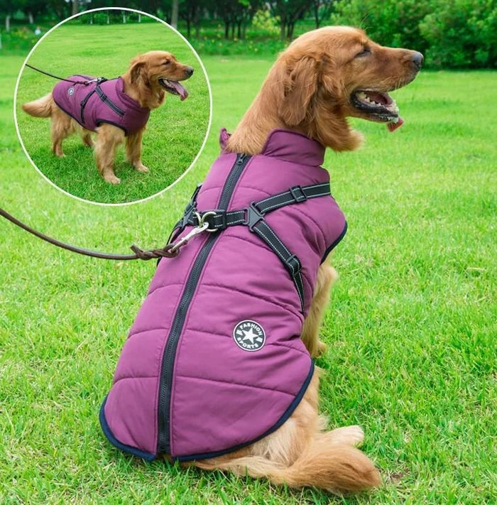 🔥🐕🦺【Kúpte 1 a dostanete 1 zadarmo】 Vodeodolná kožušinová bunda pre psov všetkých veľkostí