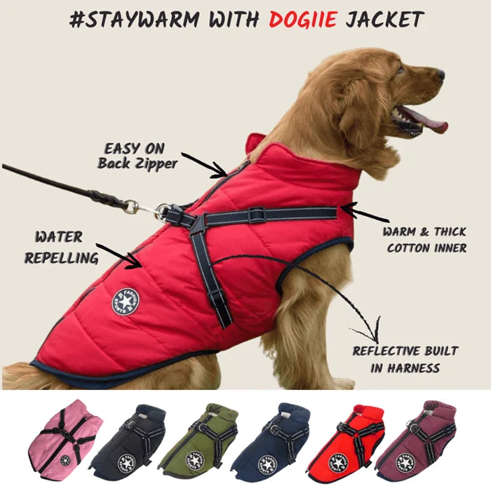 🔥🐕🦺【Kúpte 1 a dostanete 1 zadarmo】 Vodeodolná kožušinová bunda pre psov všetkých veľkostí