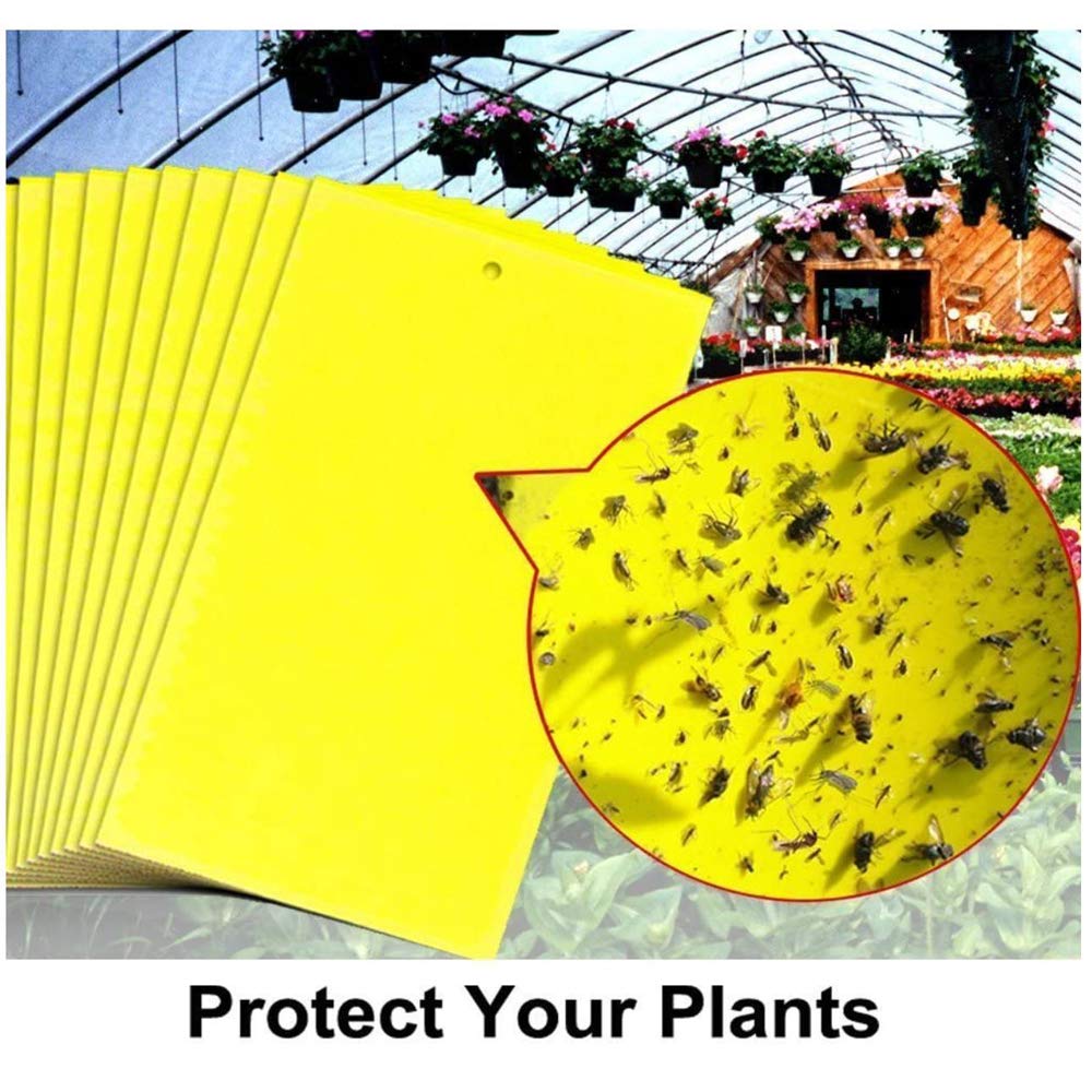 【30% ZNIŻKI】💥【90 szt.】Żółta dwustronna tablica samoprzylepna na owady, naklejki na pułapki na owady w ogrodzie warzywnym