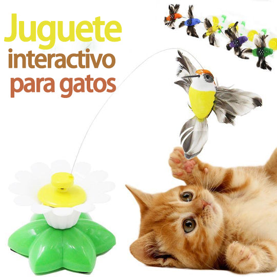 🐈🐈【Kup 1, a 1 dostaniesz gratis】🐱Zwiastun kota z automatycznym spinem Hummingbird😍