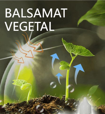 🌱🌱Tekutý roztok na aktiváciu rastlín a kvetov 