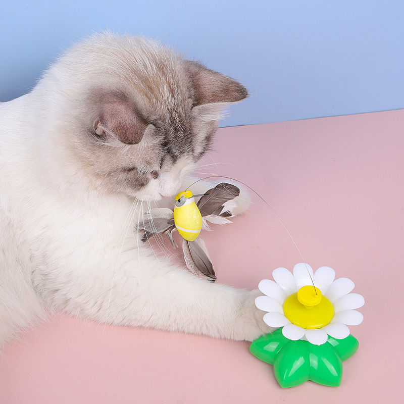 🐈🐈【Kup 1, a 1 dostaniesz gratis】🐱Zwiastun kota z automatycznym spinem Hummingbird😍
