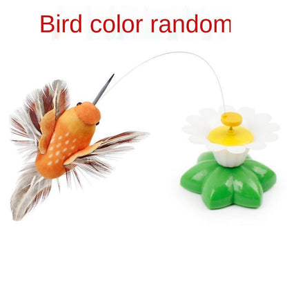 🐈🐈【Kup 1, a 1 dostaniesz gratis】🐱Zwiastun kota z automatycznym spinem Hummingbird😍