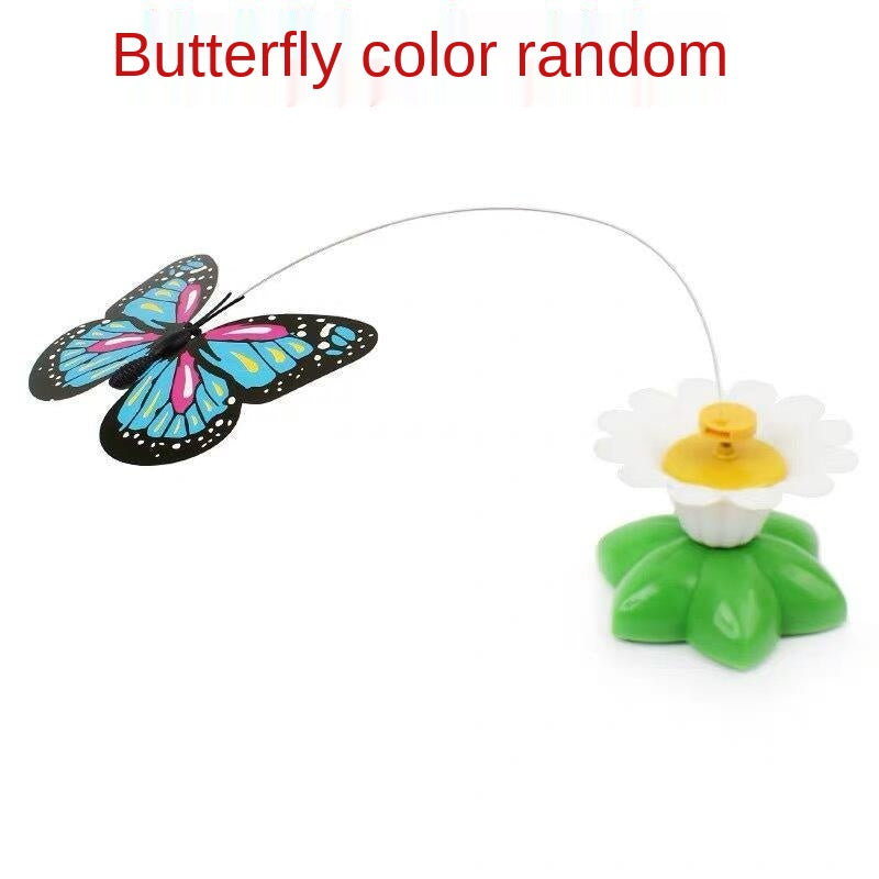 🐈🐈【Kup 1, a 1 dostaniesz gratis】🐱Zwiastun kota z automatycznym spinem Hummingbird😍