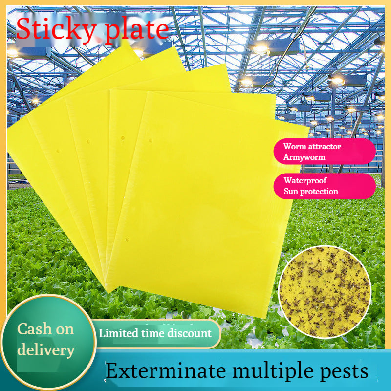【30% ZNIŻKI】💥【90 szt.】Żółta dwustronna tablica samoprzylepna na owady, naklejki na pułapki na owady w ogrodzie warzywnym
