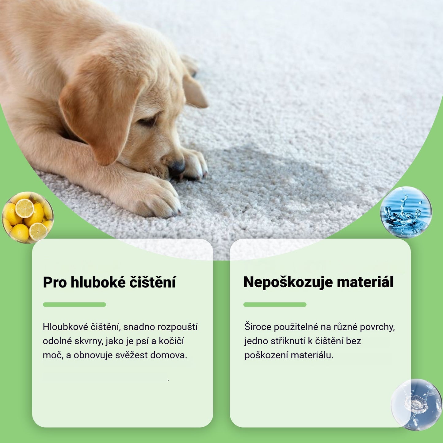 ✨【Kupte jeden, druhý dostanete zdarma】🐶🐱 Odstraňovač skvrn pro domácí mazlíčky (kočky a psy)