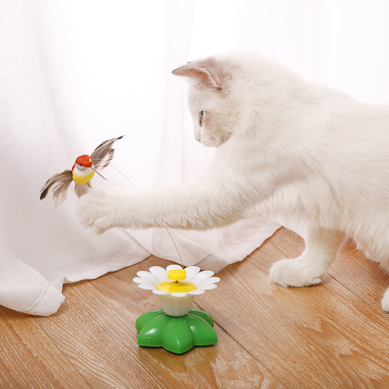 🐈🐈【Kup 1, a 1 dostaniesz gratis】🐱Zwiastun kota z automatycznym spinem Hummingbird😍