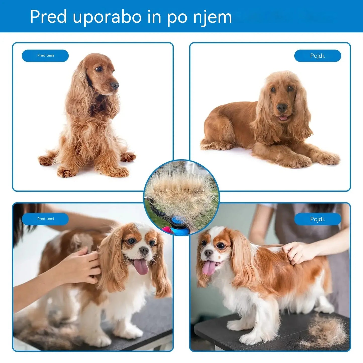 Kupite enega, enega dobite brezplačno! 🐾 Profesionalno orodje za odstranjevanje odmrle dlake pri psih in mačkah: nežno, učinkovito in brez dlak doma ✨💖