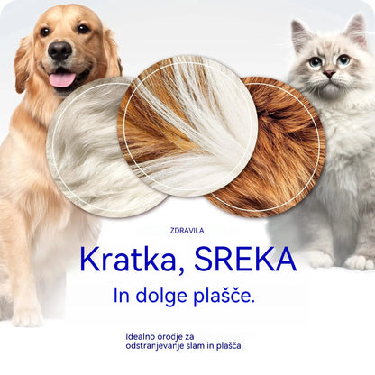 Kupite enega, enega dobite brezplačno! 🐾 Profesionalno orodje za odstranjevanje odmrle dlake pri psih in mačkah: nežno, učinkovito in brez dlak doma ✨💖