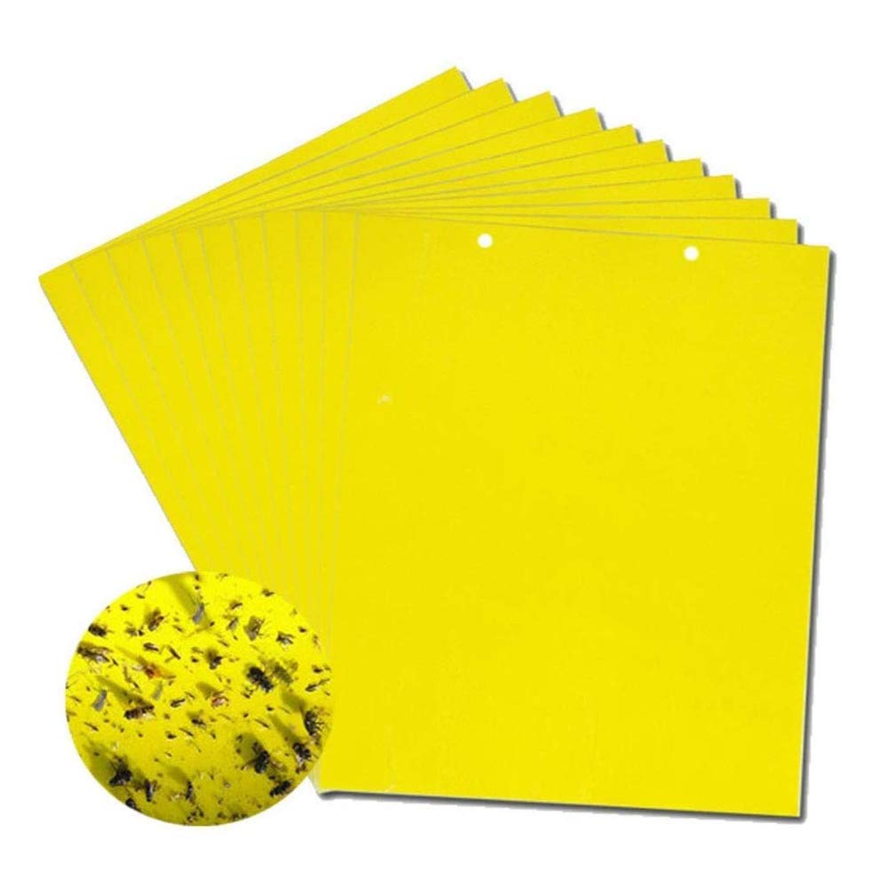 【30% ZNIŻKI】💥【90 szt.】Żółta dwustronna tablica samoprzylepna na owady, naklejki na pułapki na owady w ogrodzie warzywnym